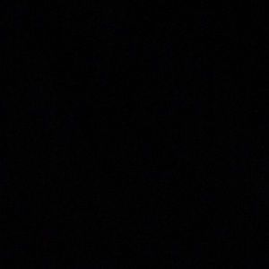 Meet your Posher, Ella